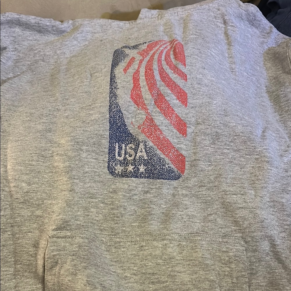 Gray USA Graphic Men's Sweatshirt